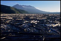 Enormousn tree mat cover Spirit Lake, and Mt St Helens. Mount St Helens National Volcanic Monument, Washington