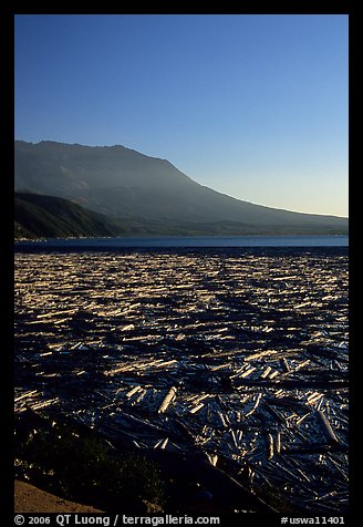 Layer of dead trees on Spirit Lake, and Mt St Helens. Mount St Helens National Volcanic Monument, Washington (color)