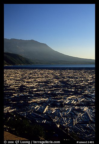 Layer of dead trees on Spirit Lake, and Mt St Helens. Mount St Helens National Volcanic Monument, Washington