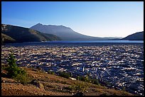 Spirit Lake clogged with dead trees. Mount St Helens National Volcanic Monument, Washington (color)