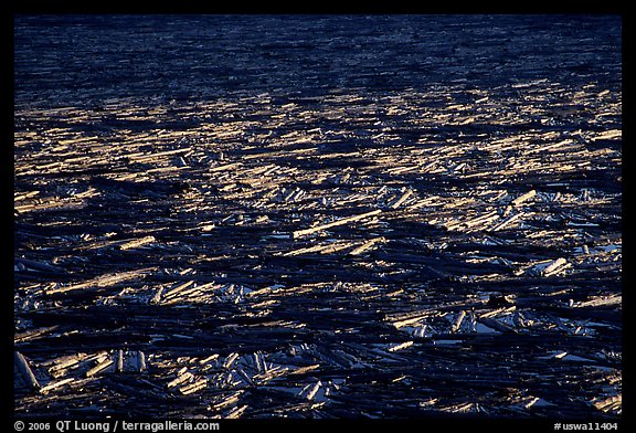 Fallen trees floating on Spirit Lake. Mount St Helens National Volcanic Monument, Washington (color)