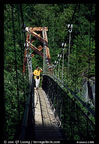 Woman hiking on suspension bridge, Lava Canyon. Mount St Helens National Volcanic Monument, Washington (color)