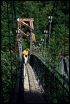 Woman hiking on suspension bridge, Lava Canyon. Mount St Helens National Volcanic Monument, Washington (color)