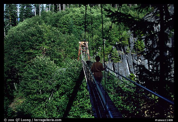 Hiker walks on suspension bridge, Lava Canyon. Mount St Helens National Volcanic Monument, Washington (color)