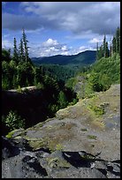 Lava Canyon. Mount St Helens National Volcanic Monument, Washington