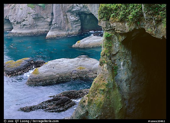 Sea caves and cliffs, Cape Flattery, Olympic Peninsula. USA (color)