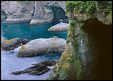 Sea caves and cliffs, Cape Flattery, Olympic Peninsula. USA ( color)