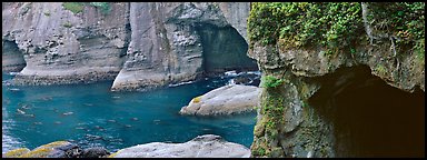 Seascape with seacaves, Olympic Peninsula. Olympic Peninsula, Washington (Panoramic color)