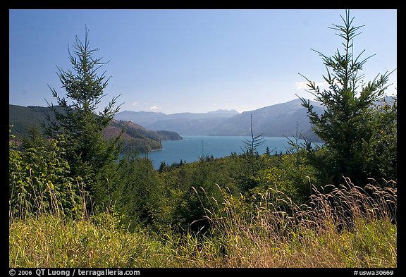 Grasses, trees, and Riffe Lake. Washington