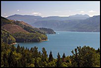 Riffe Lake. Washington (color)