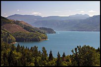 Riffe Lake. Washington