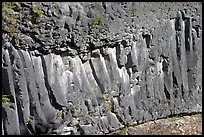 Columns of hardened basalt in lava cake, Lava Canyon. Mount St Helens National Volcanic Monument, Washington (color)