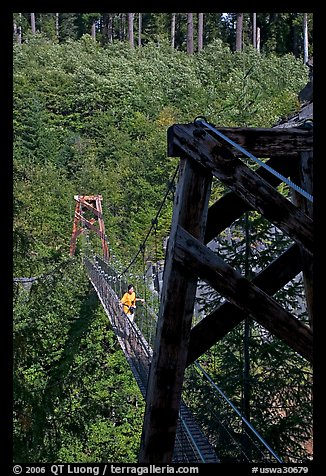 Suspension bridge over Lava Canyon. Mount St Helens National Volcanic Monument, Washington (color)