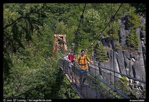 Hikers cross suspension bridge over Lava Canyon. Mount St Helens National Volcanic Monument, Washington