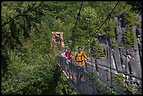 Hikers cross suspension bridge over Lava Canyon. Mount St Helens National Volcanic Monument, Washington