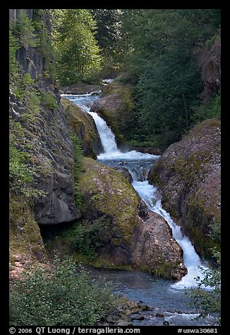 Muddy River cascades in Lava Canyon. Mount St Helens National Volcanic Monument, Washington (color)