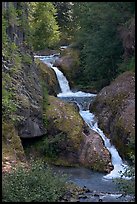 Muddy River cascades in Lava Canyon. Mount St Helens National Volcanic Monument, Washington (color)