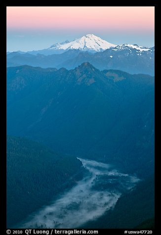 Dawn over fog-filled valley and Mt Baker, Mount Baker Glacier Snoqualmxie National Forest. Washington (color)