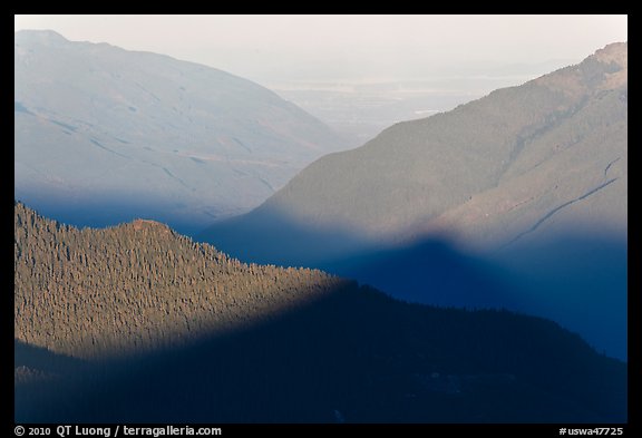 Fog on bottom of Cascade River Valley in early morning. Washington (color)