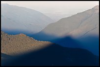 Fog on bottom of Cascade River Valley in early morning. Washington ( color)