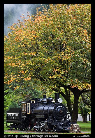 Locomotive under tree in fall foliage, Newhalem. Washington