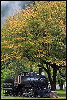 Locomotive under tree in fall foliage, Newhalem. Washington