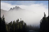 North Cascades Highway below Washington Pass. Washington (color)