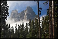 Liberty Bell Mountain framed by spruce trees. Washington (color)