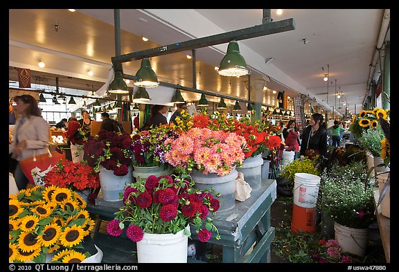 Flowers for sale in Main Arcade daystall,. Seattle, Washington (color)