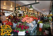 Flowers for sale in Main Arcade daystall,. Seattle, Washington