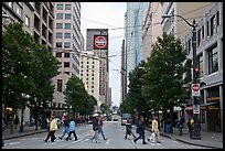 Pedestrian crossing and busses, downtown. Seattle, Washington