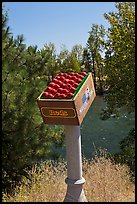 Sculpture of red apples box, Cashmere. Washington