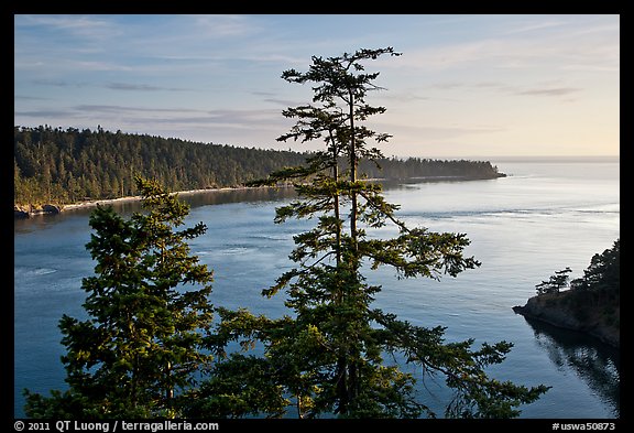 Deception Bay, Whidbey Island. Olympic Peninsula, Washington (color)