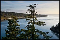 Deception Bay, Whidbey Island. Washington