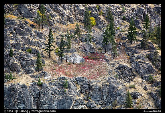 Rocky slopes and autumn colors, Lake Chelan. Washington (color)