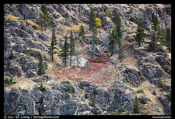 Rocky slopes and autumn colors, Lake Chelan. Washington (color)