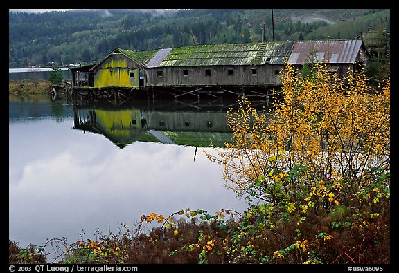 Wooden pier in autumn, Olympic Peninsula. Olympic Peninsula, Washington