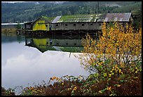 Wooden pier in autumn, Olympic Peninsula. Olympic Peninsula, Washington ( color)