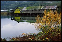 Wooden pier in autumn, Olympic Peninsula. Olympic Peninsula, Washington