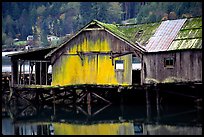 Old wooden pier, Olympic Peninsula. Olympic Peninsula, Washington