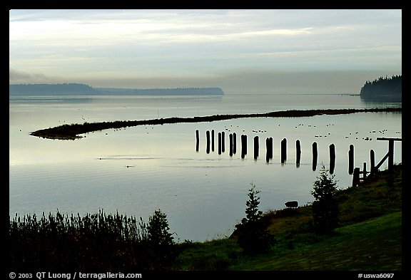 Foggy morning, Puget Sound. Olympic Peninsula, Washington