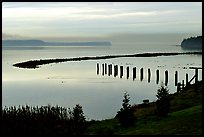 Foggy morning, Puget Sound. Olympic Peninsula, Washington (color)
