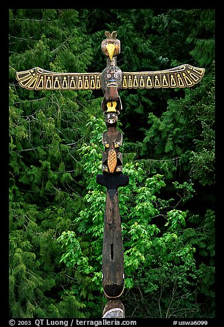Totem Pole, Olympic Peninsula. Olympic Peninsula, Washington (color)