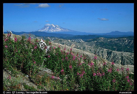 View over Cascade range with Snowy volcano. Mount St Helens National Volcanic Monument, Washington (color)
