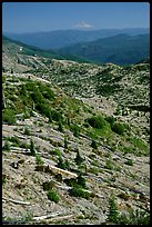 Slopes covered with trees downed by the eruption, Mt Hood in the distance. Mount St Helens National Volcanic Monument, Washington (color)