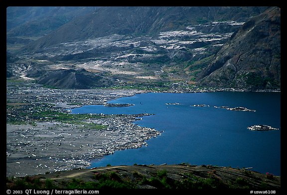 Spirit Lake, partly covered with floating logs. Mount St Helens National Volcanic Monument, Washington