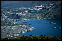 Spirit Lake, partly covered with floating logs. Mount St Helens National Volcanic Monument, Washington ( color)