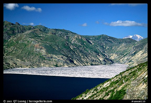 Spirit Lake, partly covered with floating logs. Mount St Helens National Volcanic Monument, Washington