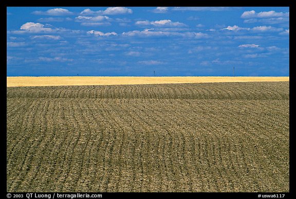 Field with plowing lines, The Palouse. Washington
