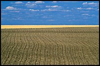 Field with plowing lines, The Palouse. Washington